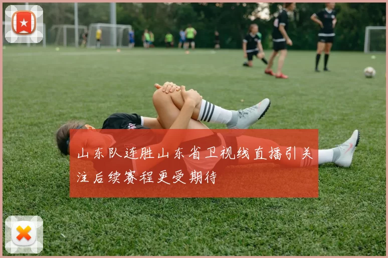 山东队连胜山东省卫视线直播引关注后续赛程更受期待